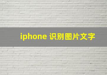 iphone 识别图片文字